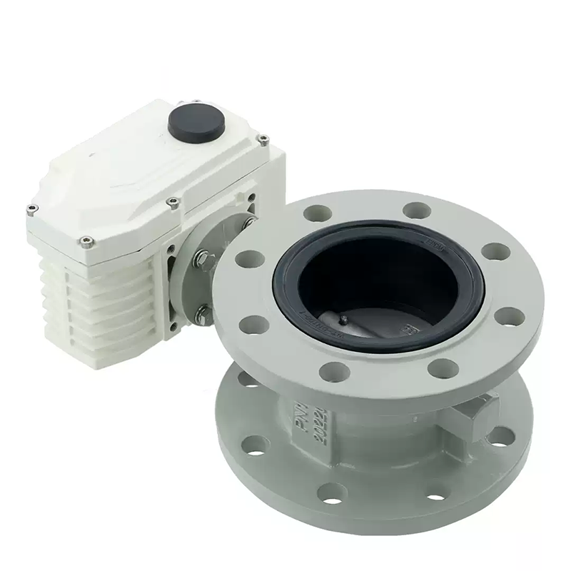 Electric butterfly valve